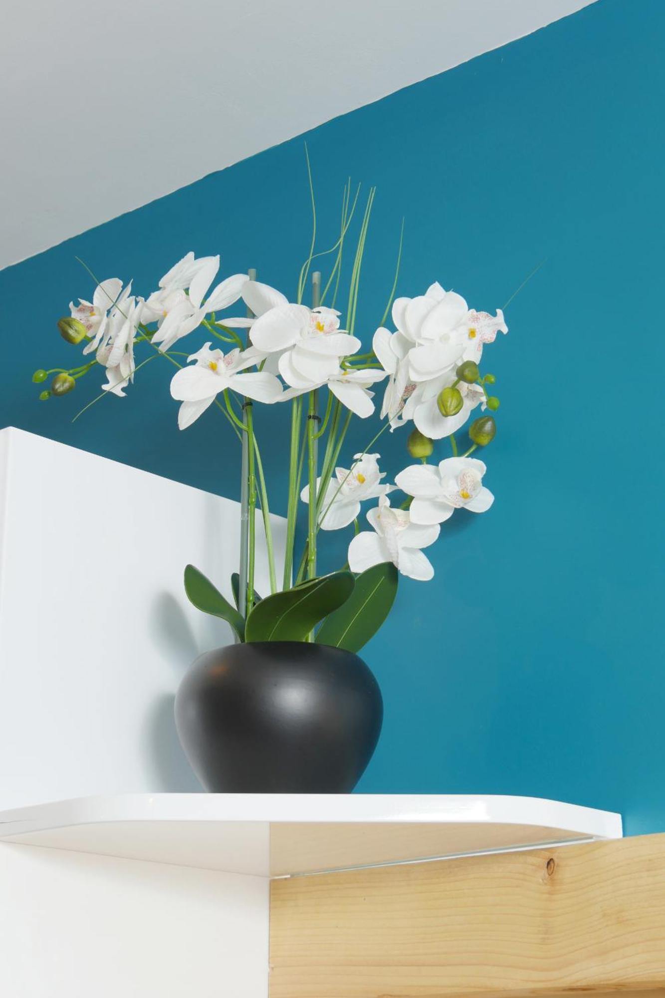 Appart Hotel Albi Room photo